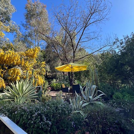 Villa La Reforma - Newly Designed 4Br House & Pool In Los Angeles By Topanga Экстерьер фото