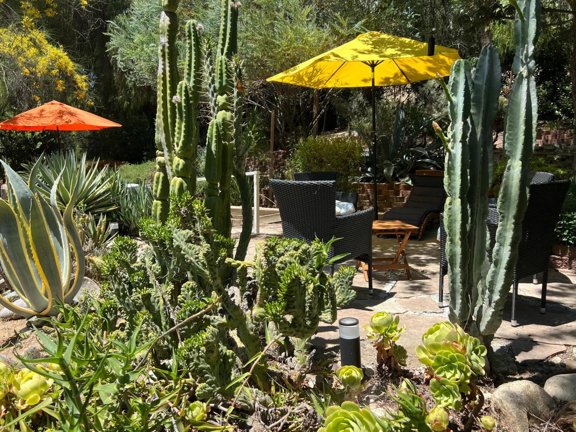 Villa La Reforma - Newly Designed 4Br House & Pool In Los Angeles By Topanga Экстерьер фото